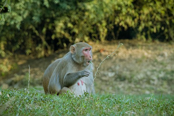 Innovations révolutionnaires dans l'habitat et le design urbain