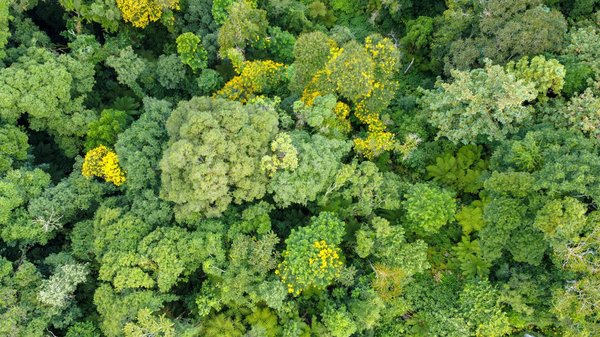 Les meilleurs espaces de coworking à pessac à découvrir